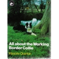 All About the Working Border Collie